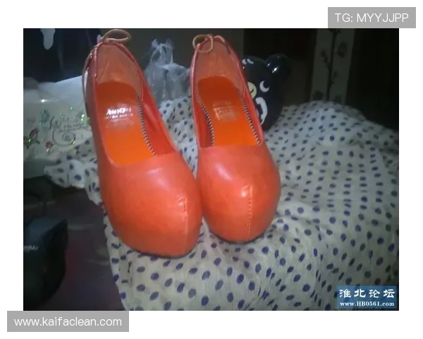 凯发网网站官方地址查询最新方法与步骤详解