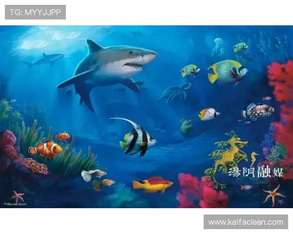 金鲨银鲨:关于海底捕食者的科普知识与公众认知的提升途径探讨