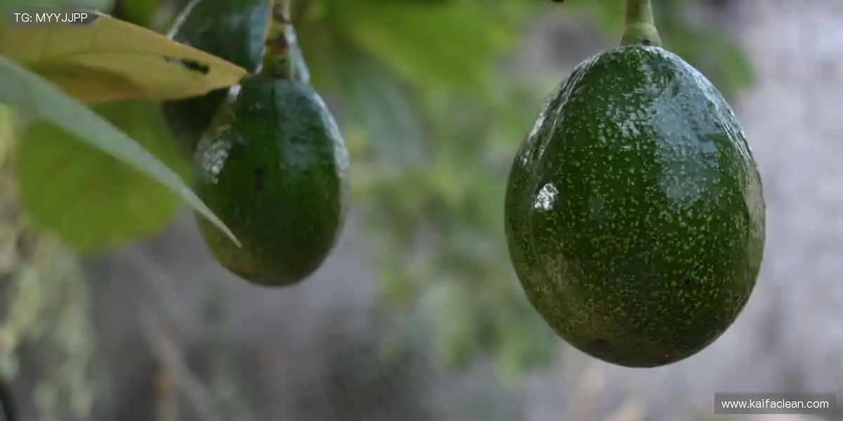 MG电子宝石之轮:转动宝石之轮,赢取巨额财富